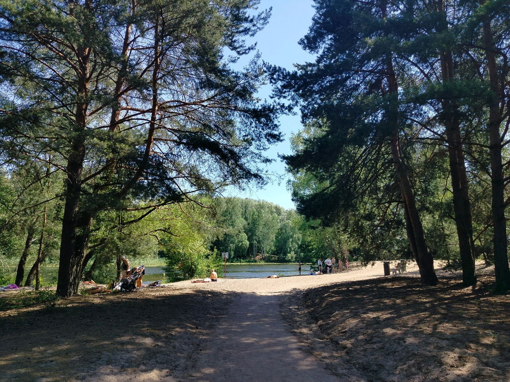 Пляж в Серебряном бору. Кувшинки, кувшинки, кувшинки..