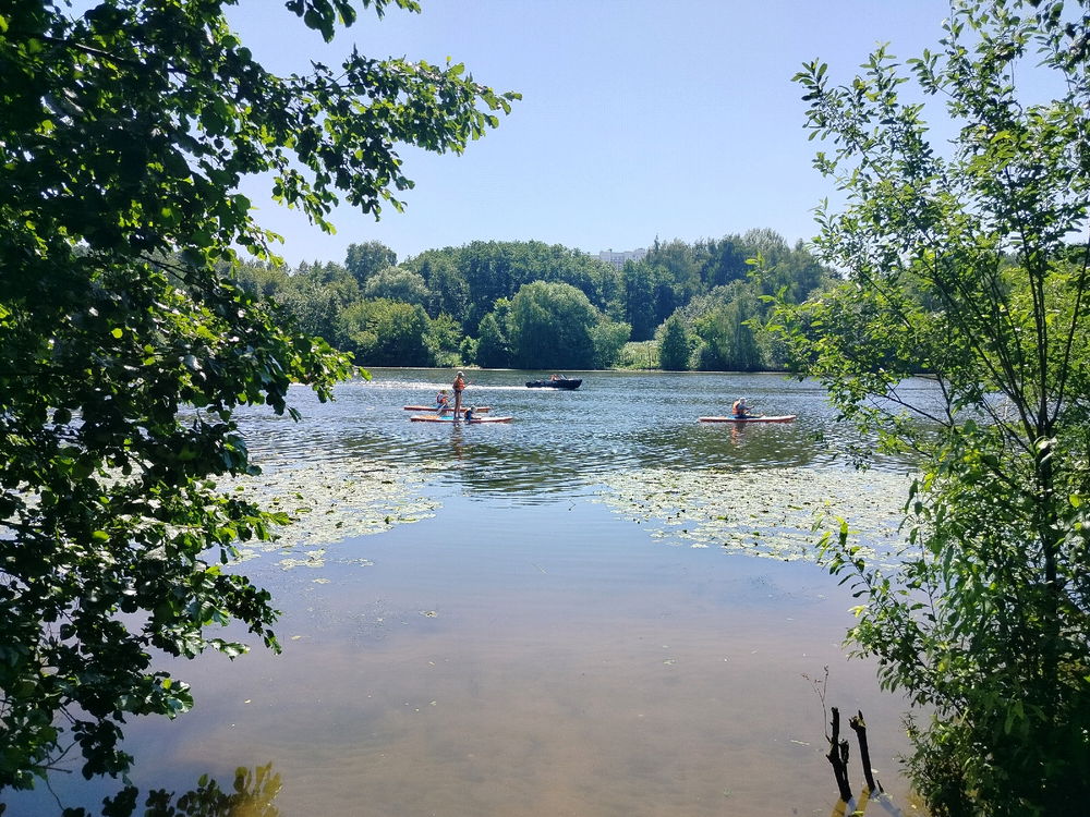 Пляж в Серебряном бору. Кувшинки, кувшинки, кувшинки..