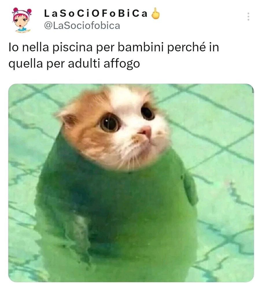 😆🤭