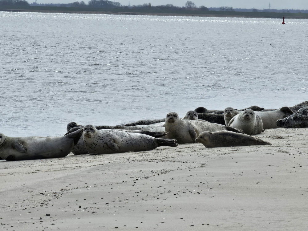 Norderney Wanderung