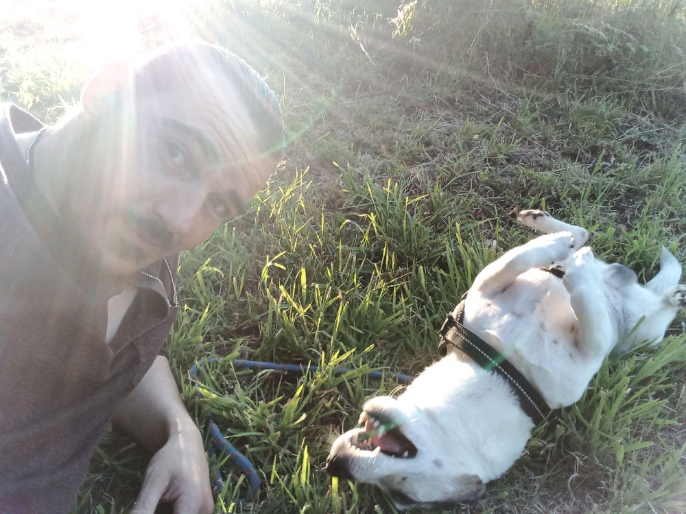 Chien fou 🤪🐶🤪