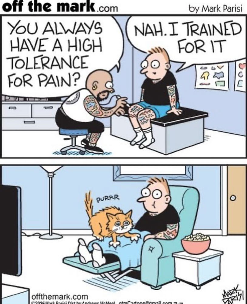😆