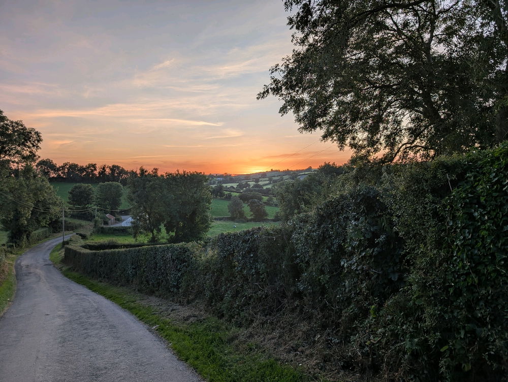 Nice sunset