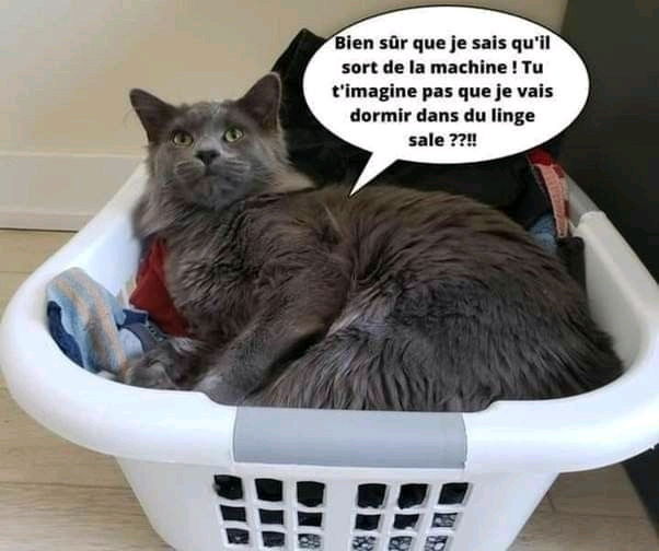 😁😂