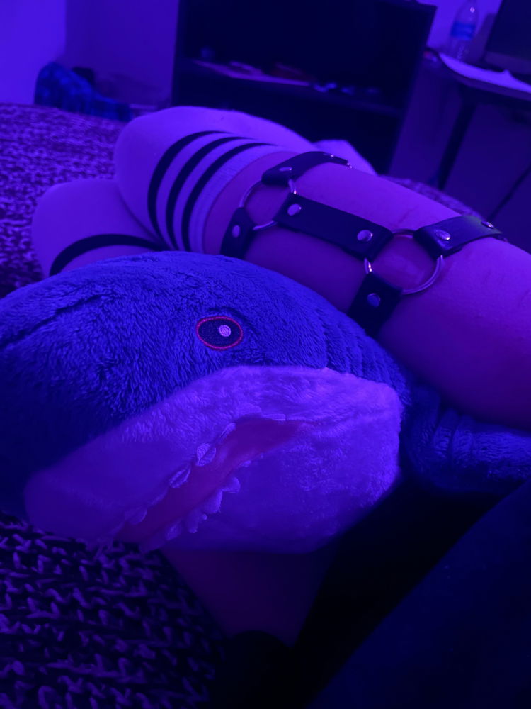 Squishy Shork :3