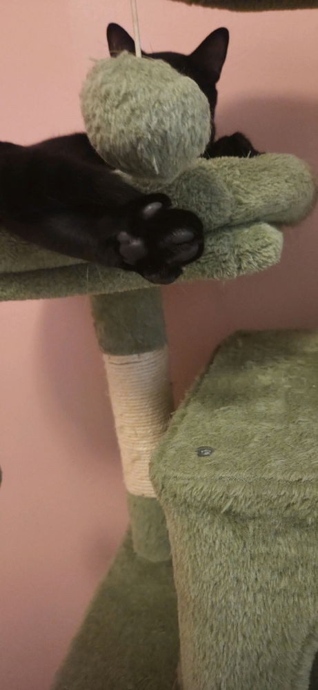 High five??