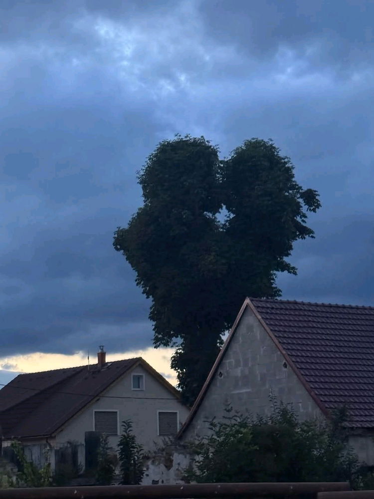 Láska je všude kolem nás! 
Lásku Všem! ❤️❤️❤️