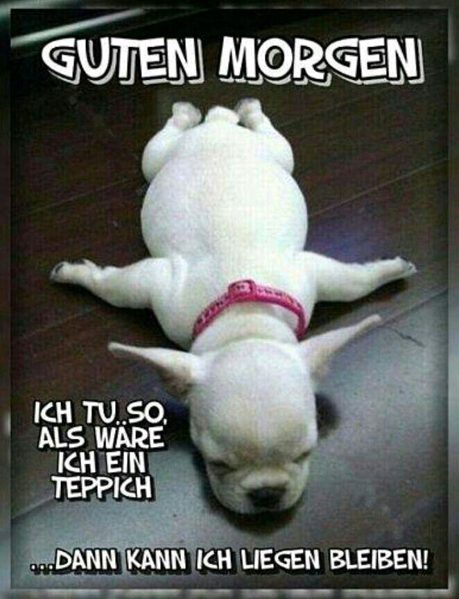 ☕Guten Morgen
