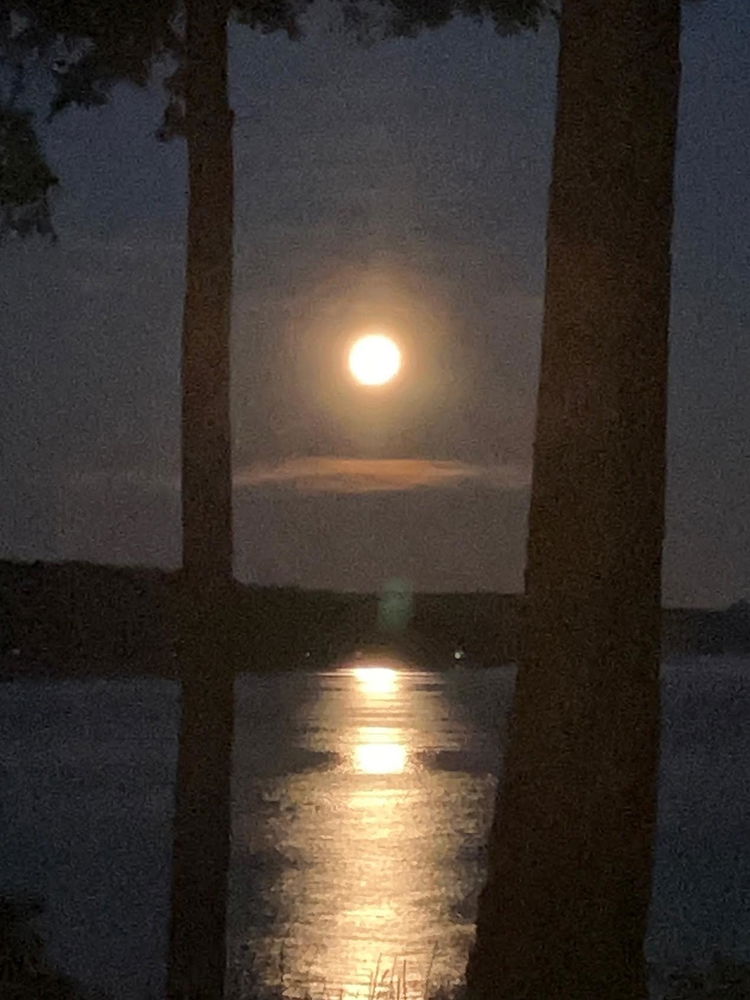 The Buck Moon
