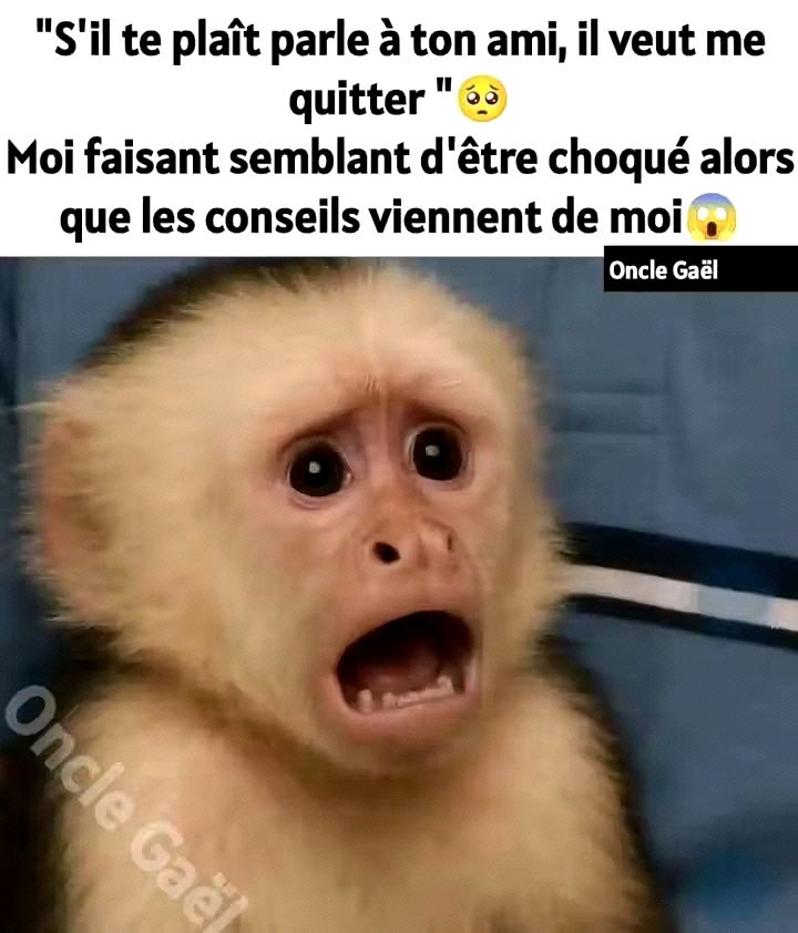 🤣🤣🤣