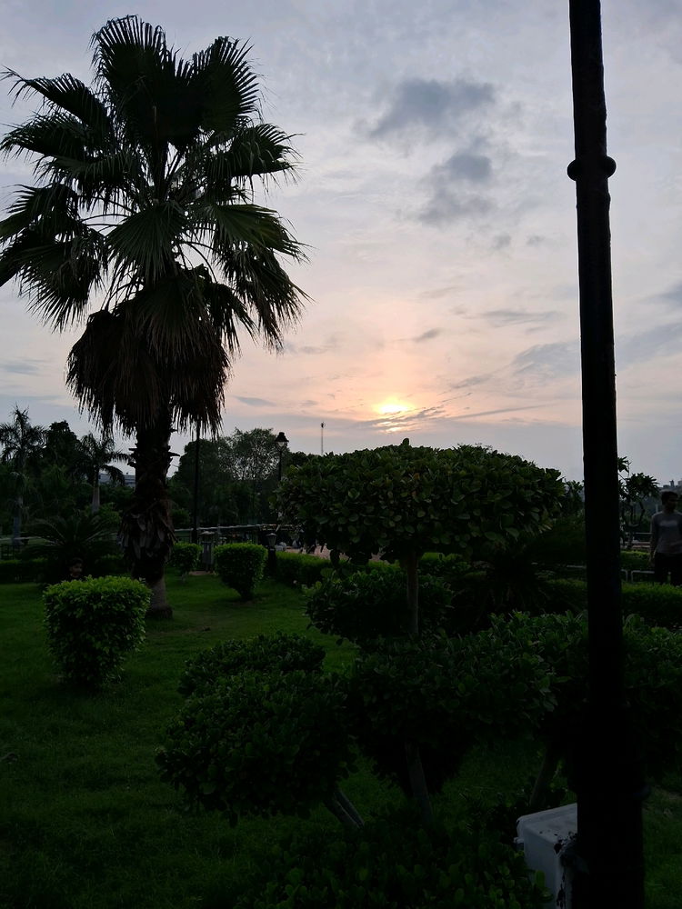 Chilling in the park alone.