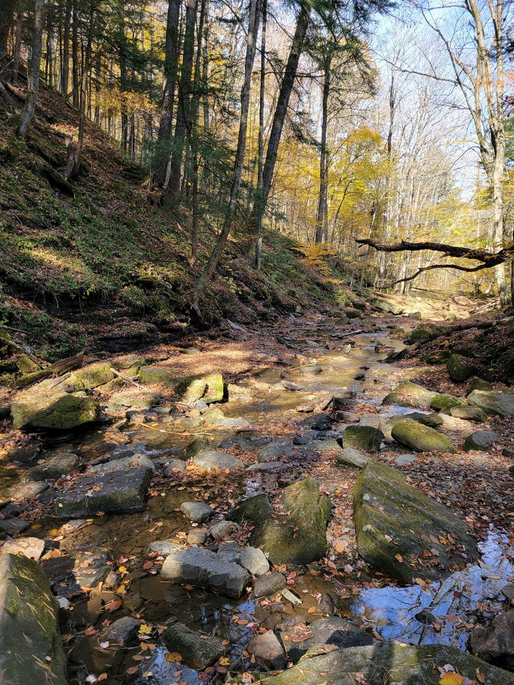 Where the trail ends, the adventure begins ⛰️