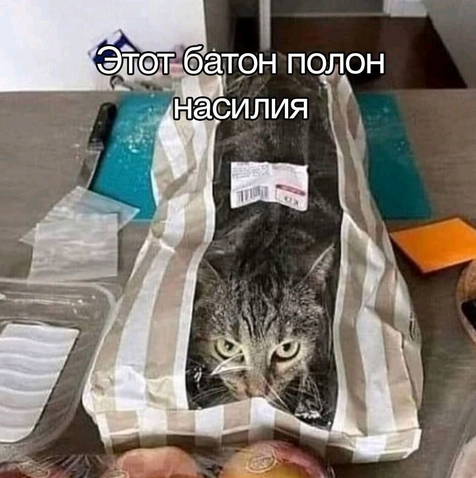 От Василия 😌😎