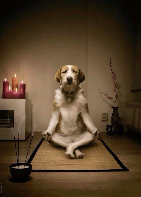 Calma