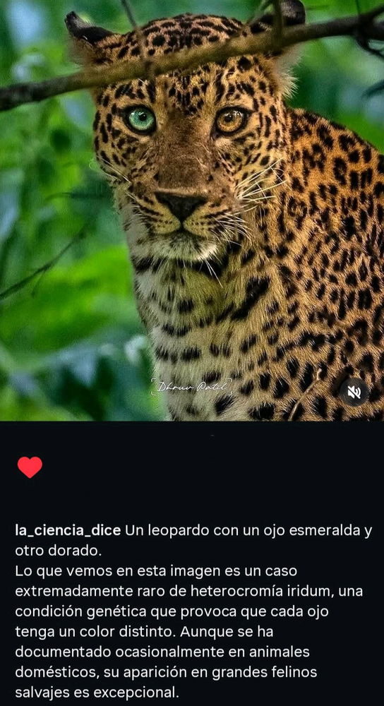 Preciosote, me gusta la seriedad con la que mira♡