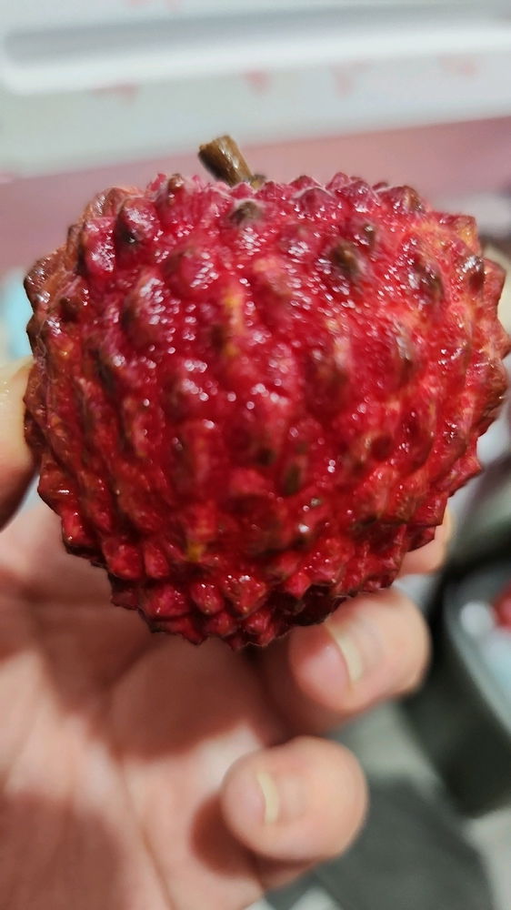 Jumbo Lychees 🤩