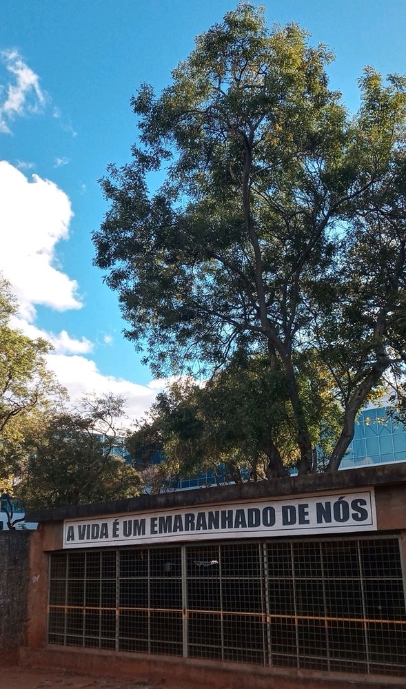 Passeio