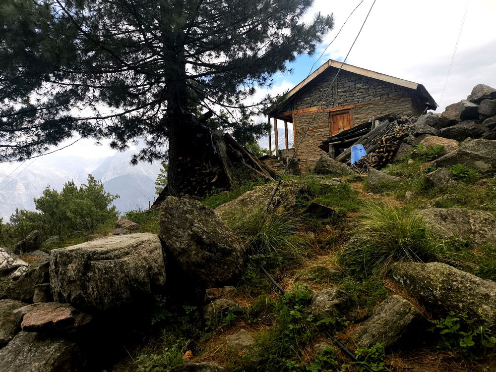 Beauty🏕️