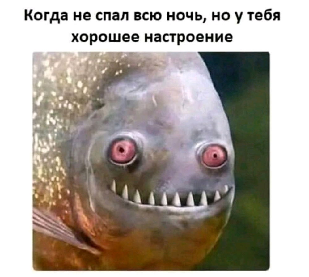 Доброго