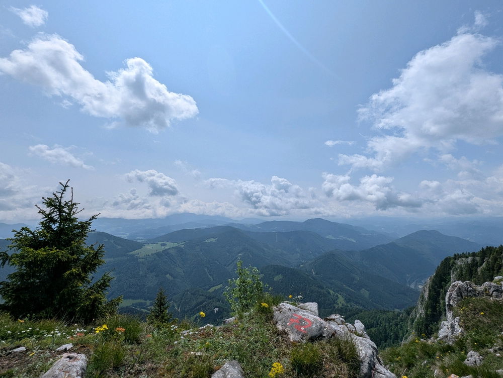 Seele baumeln lassen