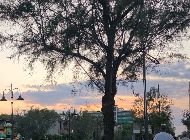 🌈🥰