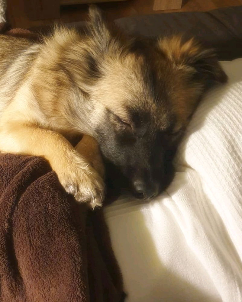 Pixi 💓