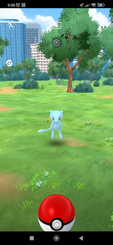 Mew