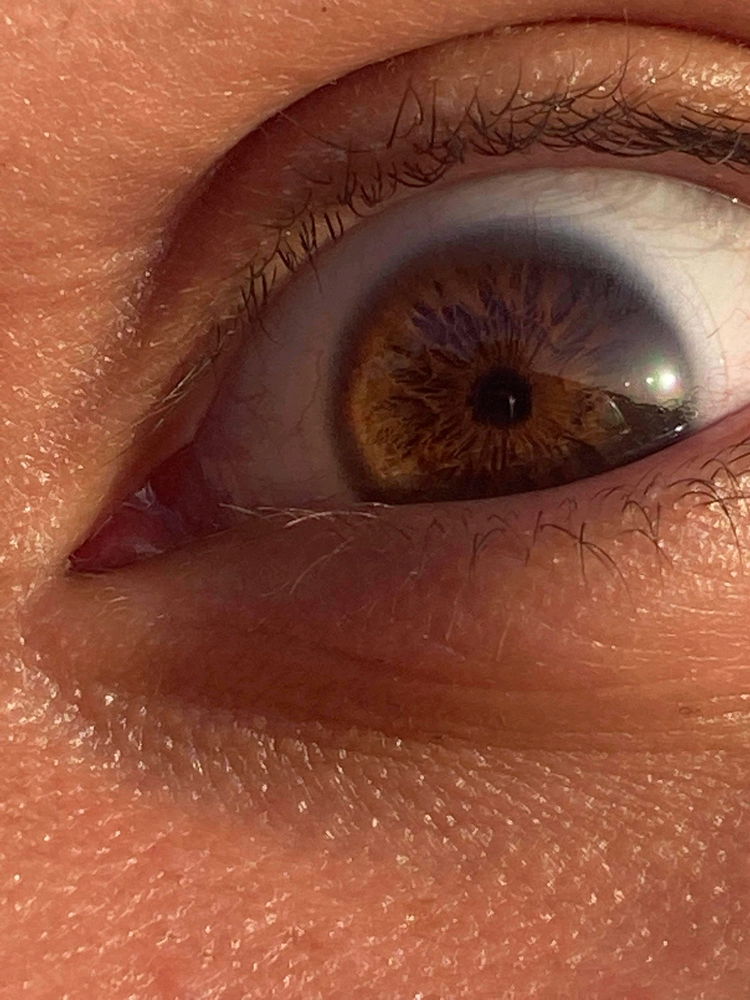 Eye's Beauty