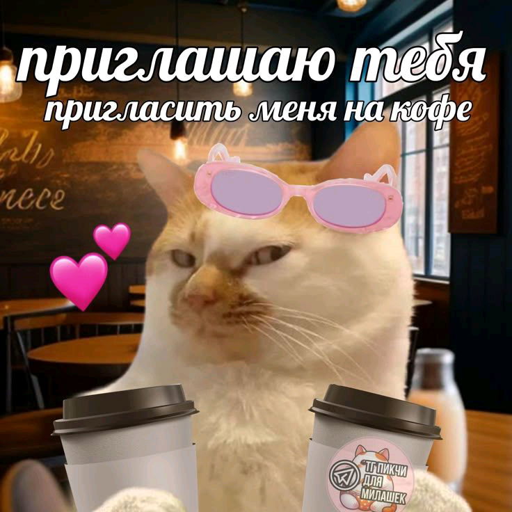 всë равно не выползу, поэтому можешь смело меня приглашать