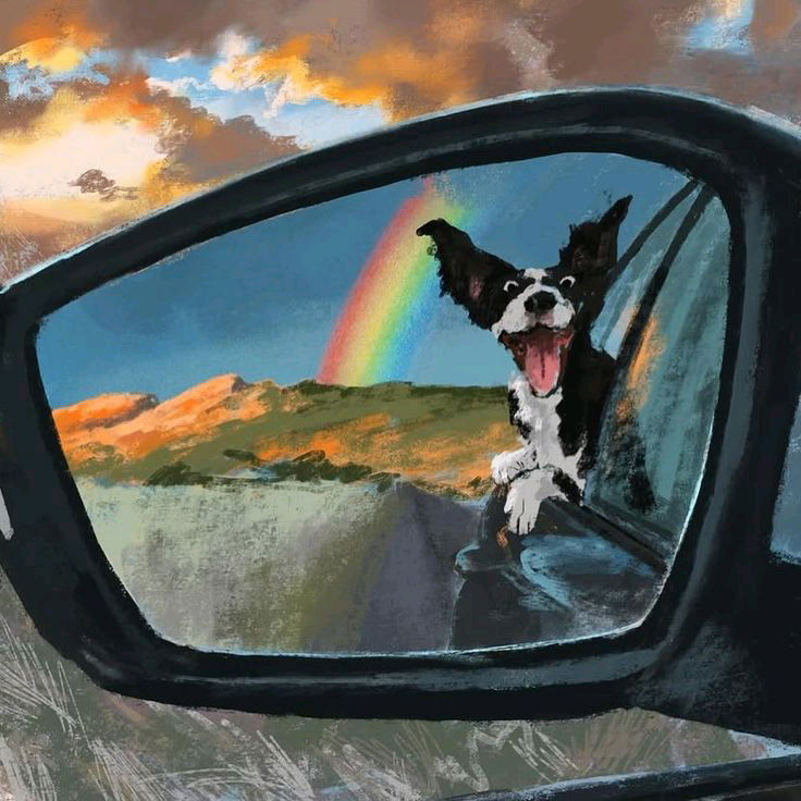 🐶