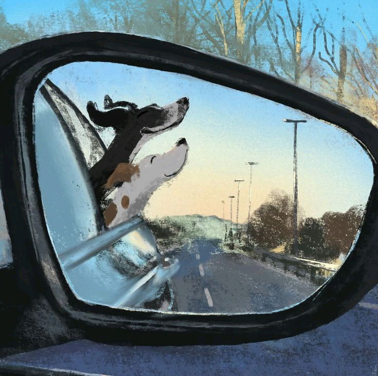 🐶