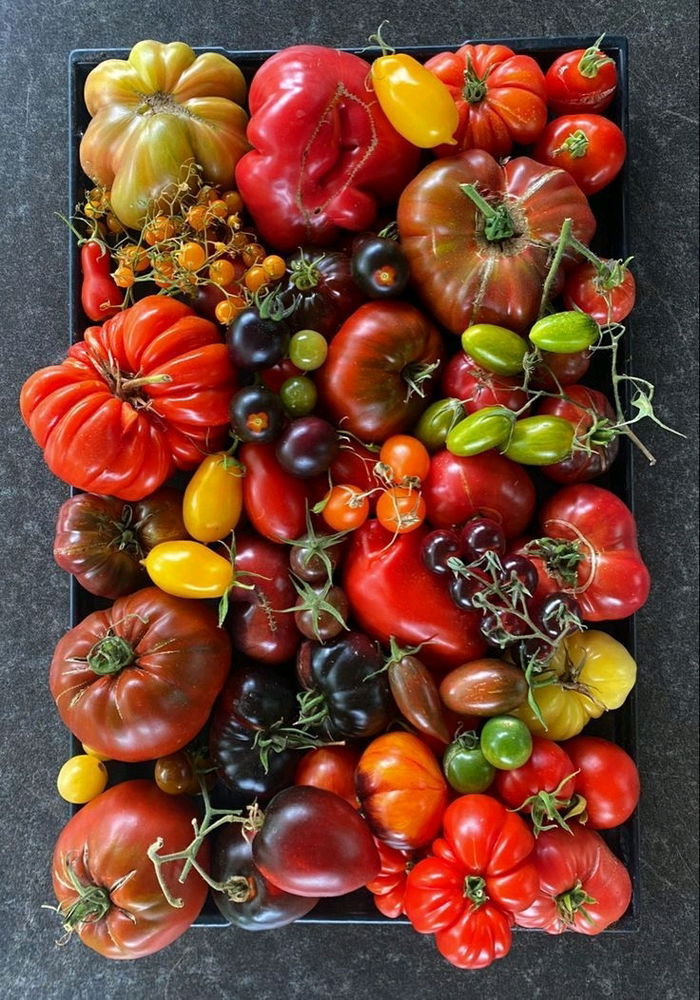 🍅