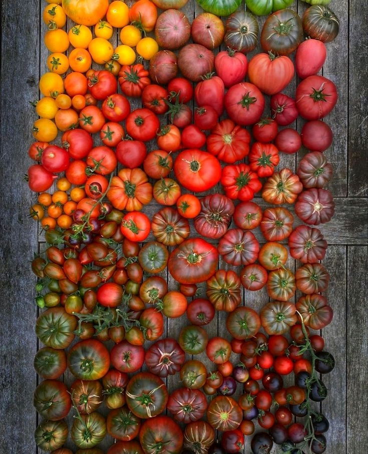🍅
