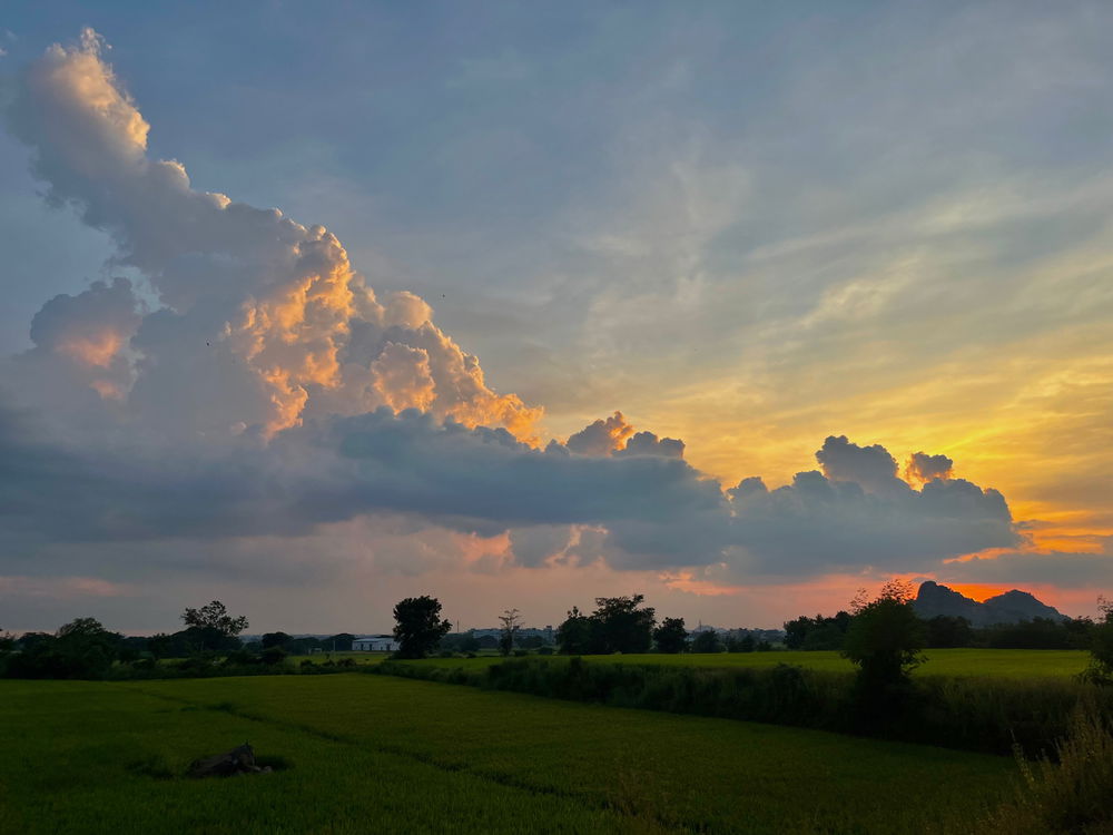"Life is like a sunset—fleeting, vivid, and best appreciated in the moment."