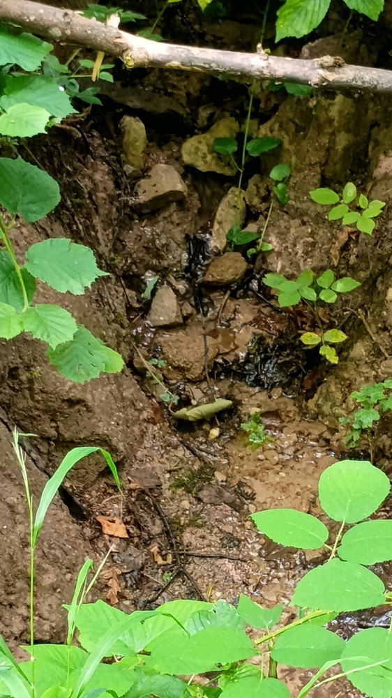 Einfach spontan mal wandern gehen und Natur genießen