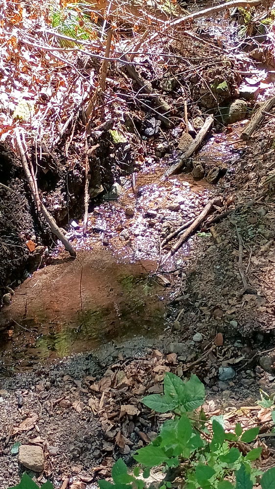 Einfach spontan mal wandern gehen und Natur genießen