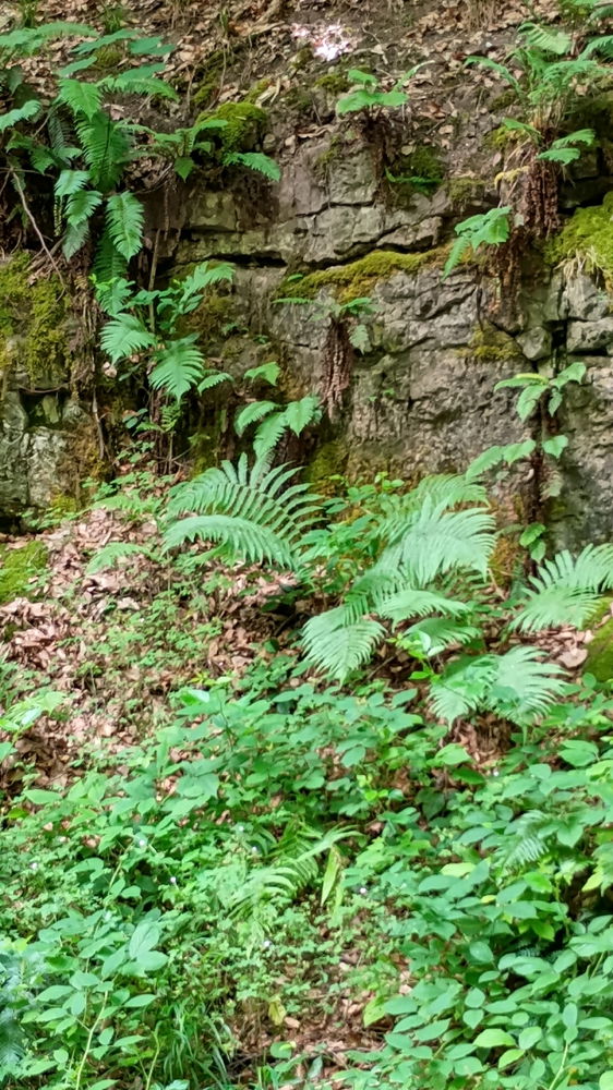 Einfach spontan mal wandern gehen und Natur genießen