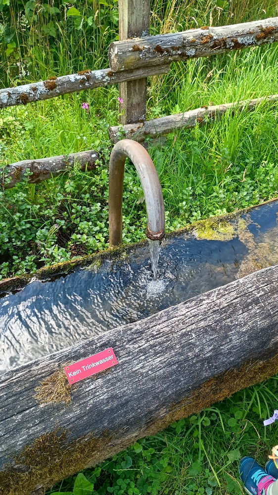 Einfach spontan mal wandern gehen und Natur genießen