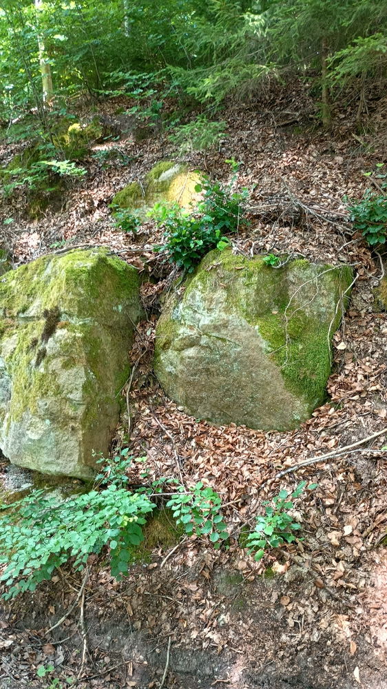 Einfach spontan mal wandern gehen und Natur genießen