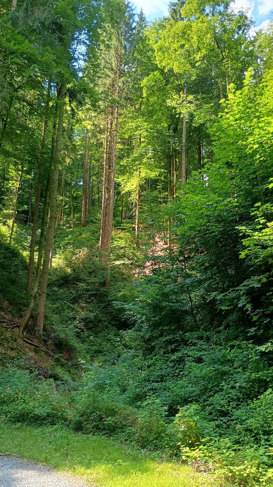 Einfach spontan mal wandern gehen und Natur genießen
