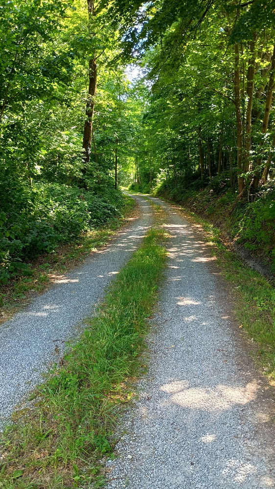 Einfach spontan mal wandern gehen und Natur genießen