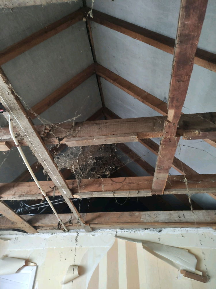 Druk bezig met slopen voor een renovatie van mijn jaren 30 woning