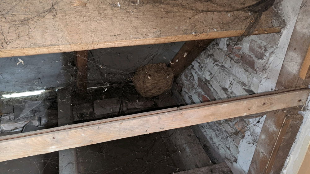 Druk bezig met slopen voor een renovatie van mijn jaren 30 woning