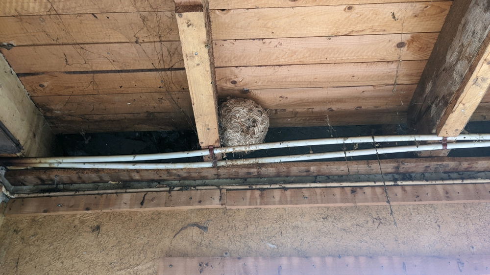 Druk bezig met slopen voor een renovatie van mijn jaren 30 woning