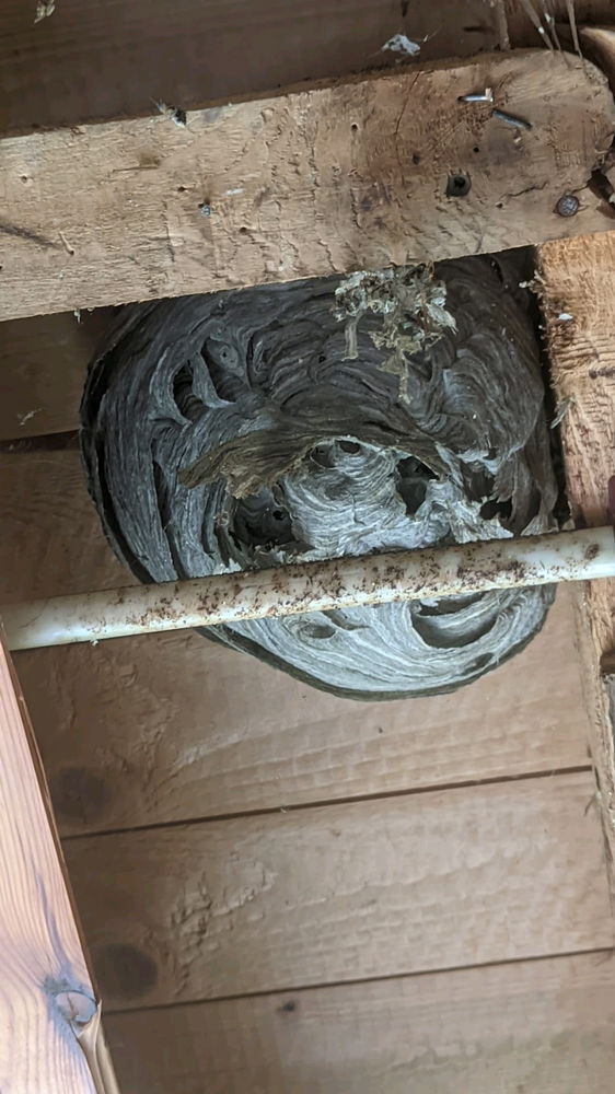 Busy with destroying for the renovations of my 1930s house