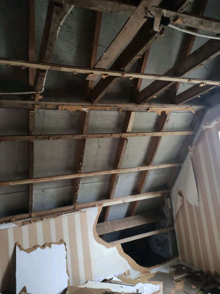 Busy with destroying for the renovations of my 1930s house