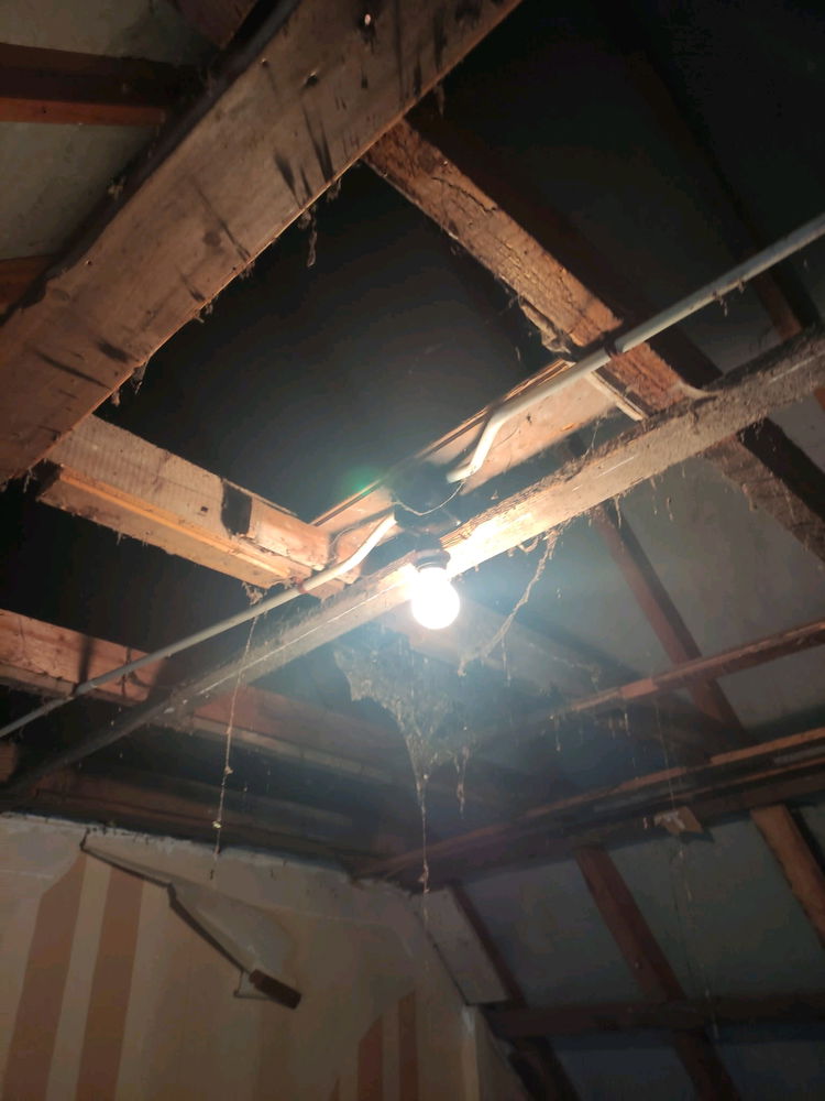Busy with destroying for the renovations of my 1930s house