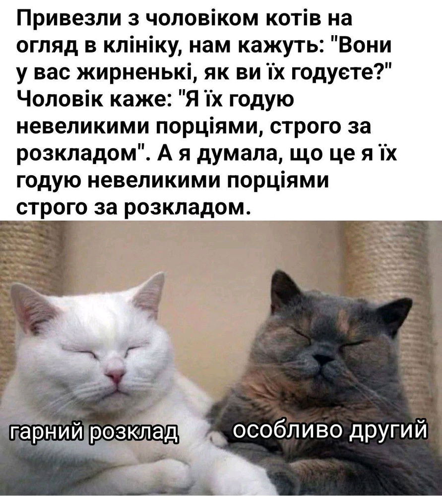 Раціон