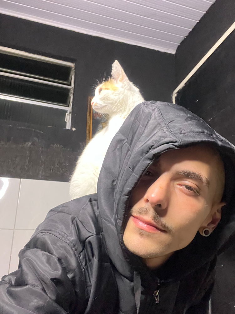 A Branquinha já está no céu dos gatos..