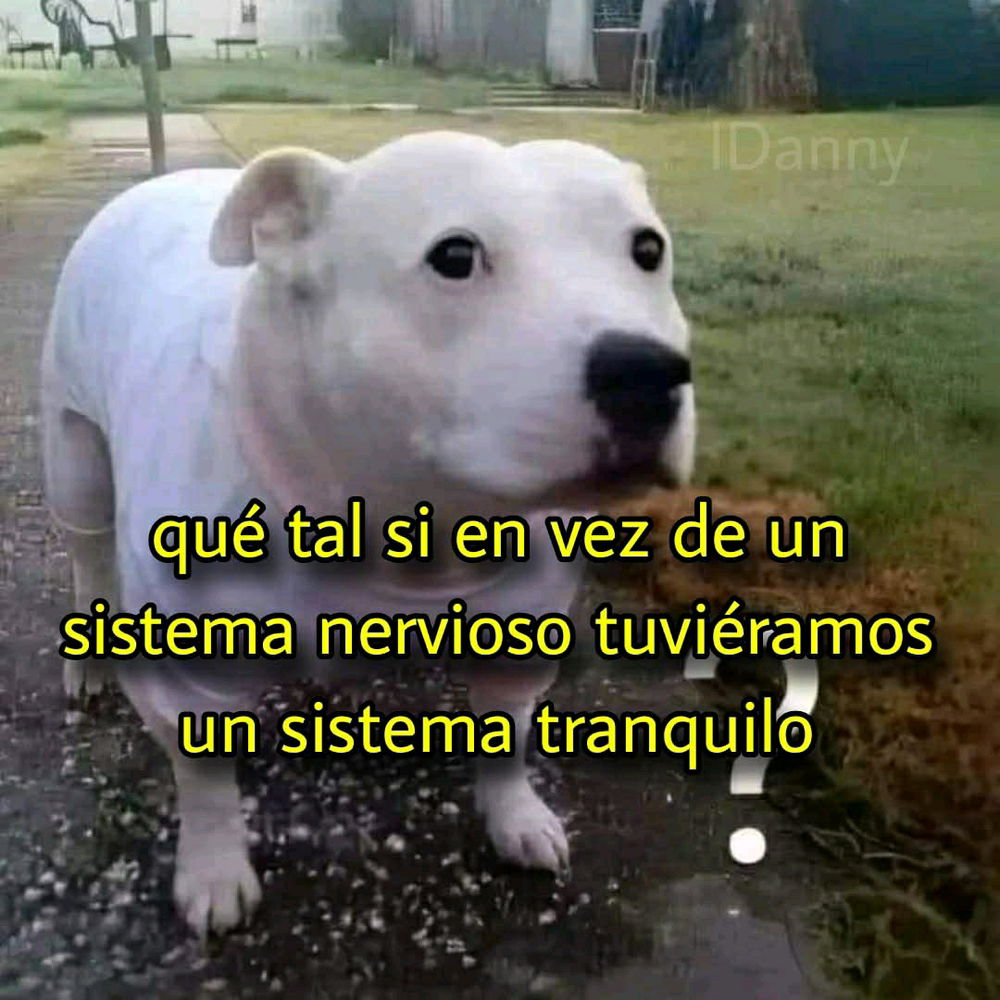 Meme